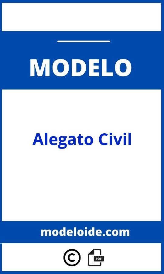 Modelo De Alegato Civil