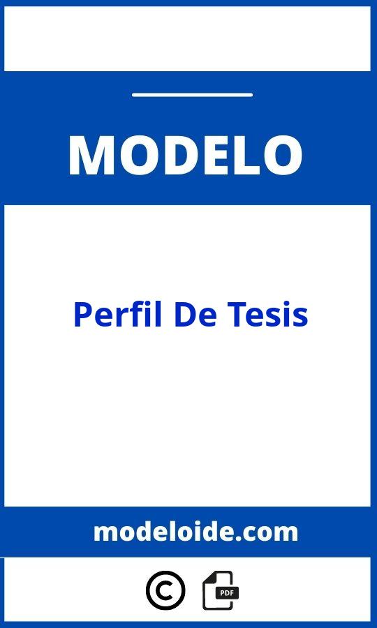 Modelo De Perfil De Tesis